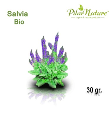 http://pilarnature.com/1574-thickbox_default/salvia-bio-35g-pilar-nature.jpg
